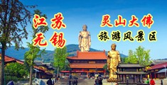 啊啊好爽操我网站视频江苏无锡灵山大佛旅游风景区